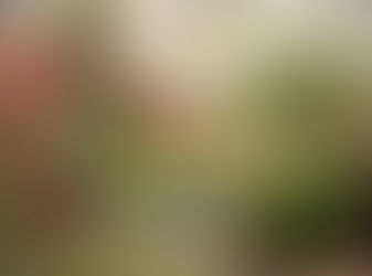 The Return of the Gardening Club